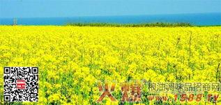 国产四级,引领中国电影新潮流